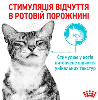 Royal Canin Sensory Feel кусочки в желе - влажный корм для привередливых кошек - 85 г Petmarket