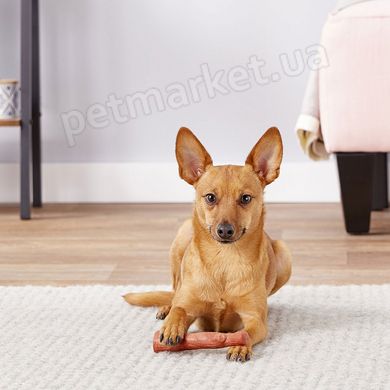 Petstages Dogwood Mesquite - Міцна гілка барбекю - іграшка для собак - M 19,5 см Petmarket