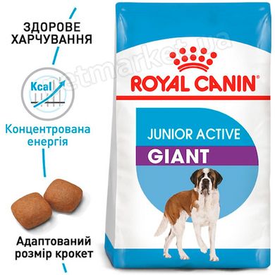 Royal Canin GIANT JUNIOR - корм для цуценят гігантських порід з 8 місяців - 12+3 кг Petmarket