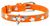 Collar WauDog GLAMOUR Зірочка - шкіряний нашийник для собак зі світловідбиваючим візерунком - 21-29 см, Ментоловий Petmarket