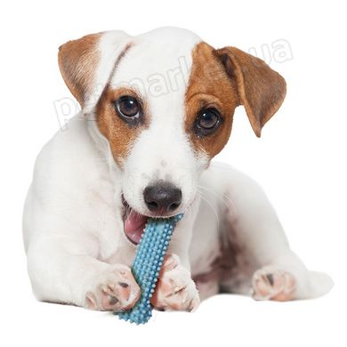 Nylabone Puppy Chew Dental Bone - жувальна іграшка для цуценят (смак курки) Petmarket