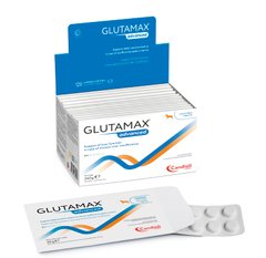 Candioli Glutamax advanced - Кандіолі Глутамакс Едвансд таблетки для підтримки печінки собак 10 табл. Petmarket