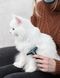 Trixie Carding Groomer тример для видалення підшерстя у собак та котів - 6 см %