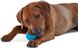 Petstages ORKA Tennis Ball - іграшка для собак