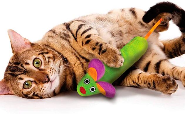 Petstages MAGIC MIGHTIE - Чарівна миша - іграшка для котів Petmarket