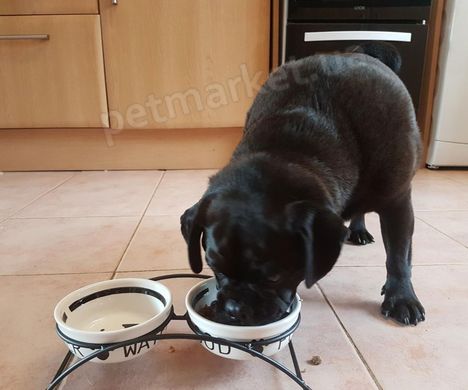 Trixie Eat on Feet керамічні миски на підставці для собак - 2х1,6 л % Petmarket