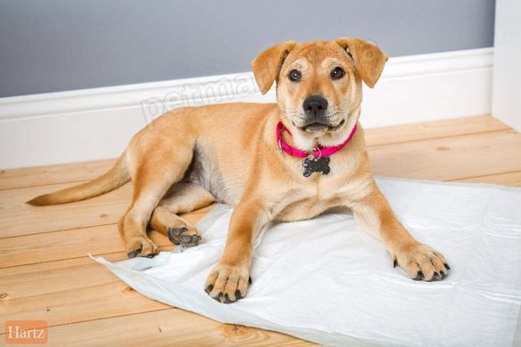 Hartz Home Protection - пеленки для собак и щенков - 14 шт. 53x53 см Petmarket