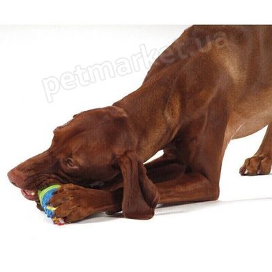 Petstages Calming Treat Capsule - Капсула для ласощів - іграшка для собак Petmarket