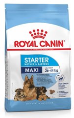 Royal Canin MAXI STARTER - корм для цуценят, вагітних і годуючих собак великих порід - 4 кг % Petmarket