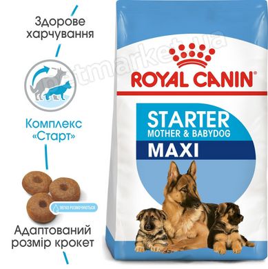 Royal Canin MAXI STARTER - корм для цуценят, вагітних і годуючих собак великих порід - 4 кг % Petmarket