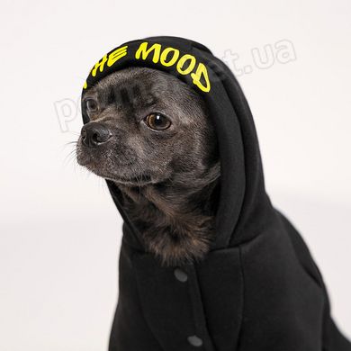 Pet Fashion FLASH - теплий костюм для собак - S % Petmarket