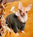Pet Fashion ALF - костюмчик для собак - Хакі, S