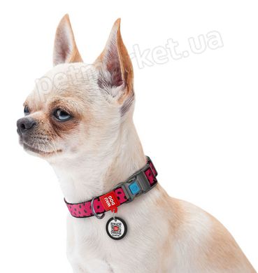 Collar WAUDOG Nylon Арбуз - нейлоновый ошейник для собак - 31-49 см Petmarket