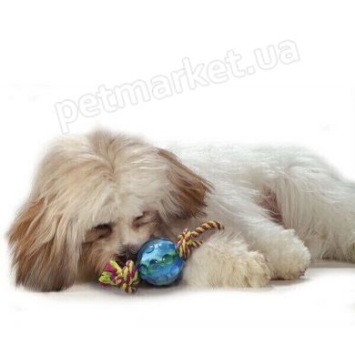 Petstages ORKA BALL Mini - Мячик с канатом мини - игрушка для собак Petmarket