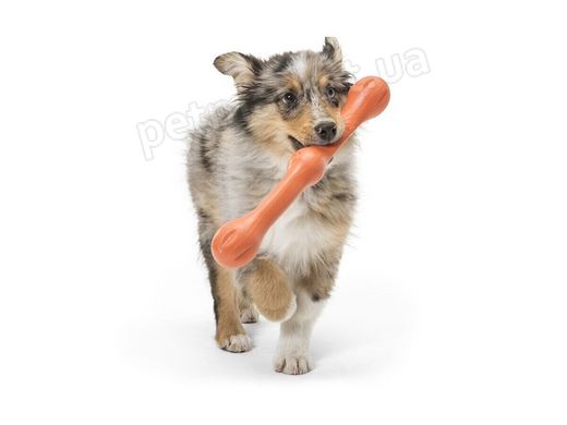 West Paw ZWIG - Звіг Гілка - іграшка для собак, помаранчевий Petmarket