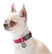 Collar WAUDOG Nylon Кавун - нейлоновий нашийник для собак - 23-35 см