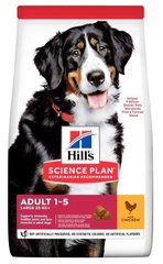 Hill's Science Plan ADULT Large Chicken - сухий корм для собак великих порід (курка) - 14 кг % Petmarket