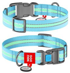 Collar WAUDOG Nylon Glow - світлонакопичувальний нейлоновий нашийник для собак - 24-40 см, блакитний Petmarket