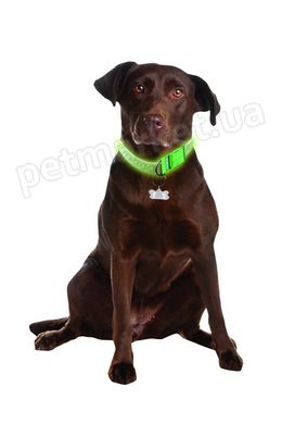 Davis FUREVER Brite Safety - светящийся ошейник для собак - M 61 см Petmarket