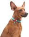 Collar WAUDOG Nylon Glow - cветонакопительный нейлоновый ошейник для собак - 23-35 см, голубой