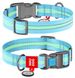 Collar WAUDOG Nylon Glow - світлонакопичувальний нейлоновий нашийник для собак - 23-35 см, блакитний
