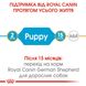 Royal Canin GERMAN SHEPHERD Puppy - корм для цуценят німецької вівчарки - 3 кг %