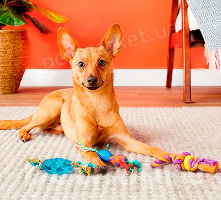 Petstages Mini Chew Starter - набір іграшок для маленьких собак та цуценят Petmarket
