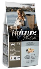 Pronature Holistic Skin & Coat Salmon & Rice корм для котів здоров'я шкіри і шерсті (лосось/коричневий рис) - 5,44 кг Petmarket