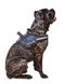 Collar POLICE - многофункциональная шлея для собак - №1, Черный