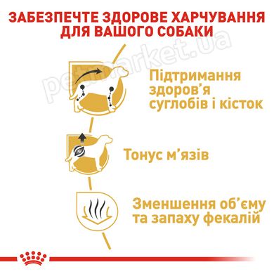 Royal Canin DACHSHUND - Роял Канін сухий корм для такс - 1,5 кг % Petmarket
