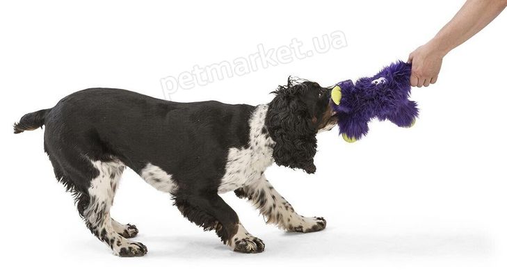 West Paw LINCOLN - Лінкольн - м'яка іграшка для собак - 23 см, фіолетовий Petmarket