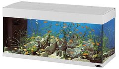 Ferplast DUBAI 100 - акваріум для риб (190 л) - Білий % Petmarket