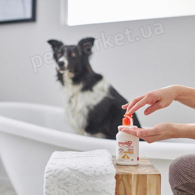 Ceva DOUXO S3 Pyo - антисептичний і протигрибковий шампунь для собак і котів - 200 мл % Petmarket