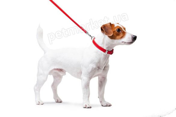 Collar WauDog GLAMOUR - кожаный ошейник для собак (без украшений) - 38-49 см Черный Petmarket