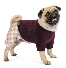 Pet Fashion SPELL - костюмчик для собак - М % Petmarket