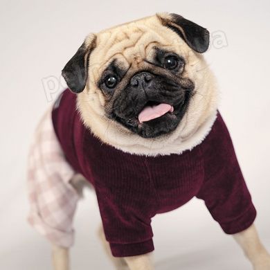 Pet Fashion SPELL - костюмчик для собак - М % Petmarket