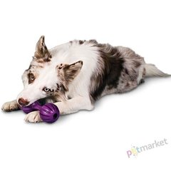 Premier ГАНТЕЛЬ - інтерактивна іграшка для собак (IT) - 11 см Petmarket