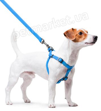 Collar WAUDOG Waterproof - водонепроницаемая шлея для собак - XS, лайм Petmarket
