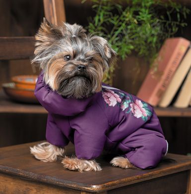 Pet Fashion LOLA - комбінезон для собак, XS Petmarket