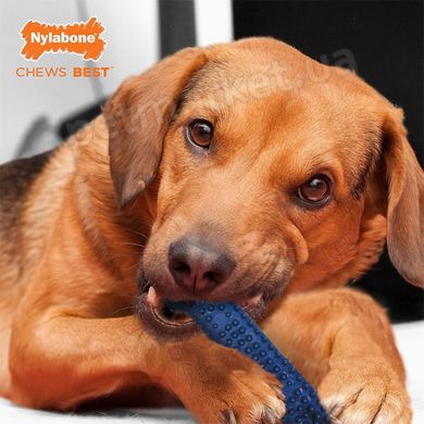Nylabone Moderate Chew Dental Bone - жувальна іграшка для собак (смак курки) Petmarket
