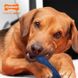 Nylabone Moderate Chew Dental Bone - жувальна іграшка для собак (смак курки) - XS
