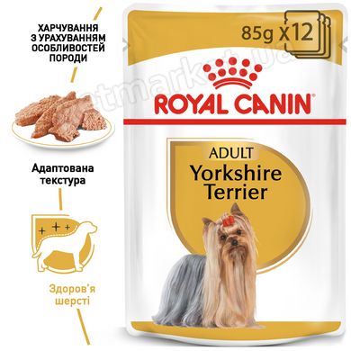 Royal Canin YORKSHIRE TERRIER Adult - вологий корм для собак породи йоркширський тер'єр - 85 г % Petmarket