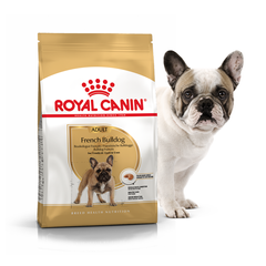 Royal Canin FRENCH BULLDOG - корм для французьких бульдогів - 3 кг % Petmarket