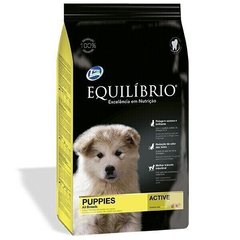 Equilibrio PUPPIES Medium Breeds - корм для цуценят середніх порід, 70 г Petmarket