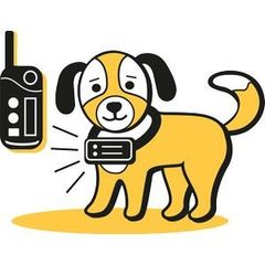 Электронные устройства для дрессировки собак