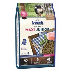 Bosch MAXI Junior - корм для цуценят великих порід - 3 кг Petmarket