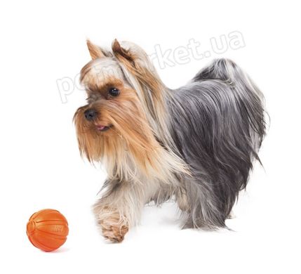 Collar LIKER - Лайкер - м'ячик-іграшка для собак -11 см Petmarket