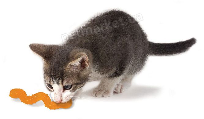 Petstages ORKAKAT - Хробачок - іграшка для котів Petmarket