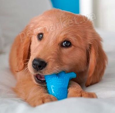 Nylabone Puppy Chew Dinosaur - жувальна іграшка для цуценят дрібних порід (смак курки) Petmarket