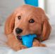 Nylabone Puppy Chew Dinosaur - жувальна іграшка для цуценят дрібних порід (смак курки)